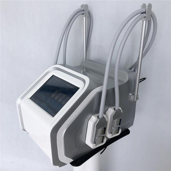 Máquina elétrica gorda da beleza da máquina da estimulação de Muslce da máquina de congelação de Cryolipolysis para a perda de peso