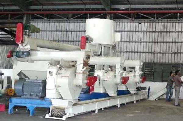 Industrial Biomass Pellet Mill Machine Energy Saving Sawdust Pellet Compressor