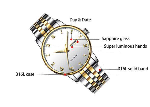 Collection Automatic Wrist Watch Japan Movt , Automatic Sapphire Watch 24mm Band Length