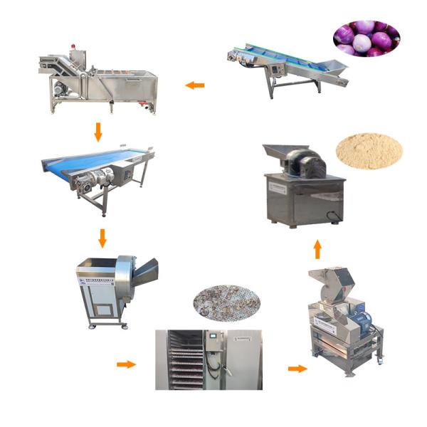 Home Use Onion Machine Powder Fire Extinguisher Production Line Australia