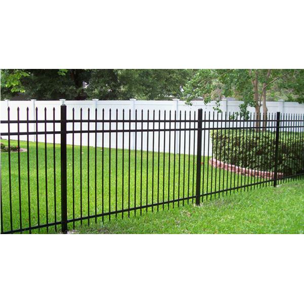 Steel Wrought Iron Metal Decorative Fence Panels 1.8m High Security
