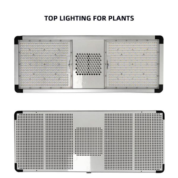 Dimmable Top LED Grow Lights Full Spectrum 800 Watt LED Grow Light