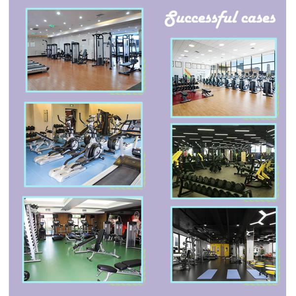 Stainless Steel Plate Bar Full Gym Equipment Hammer Strength Decline Chest Press Trainer Machine