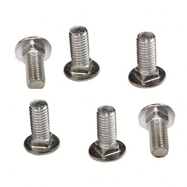 Dacromet Cup Head Square Neck Bolt , Stainless Steel Mushroom Head Bolts