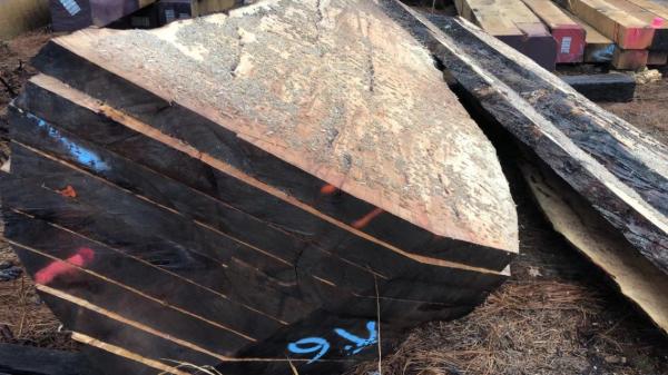 Hot Sale Big Log Portable Chainsaw Sawmill Auto Feeding -Easy installation & Extended Track