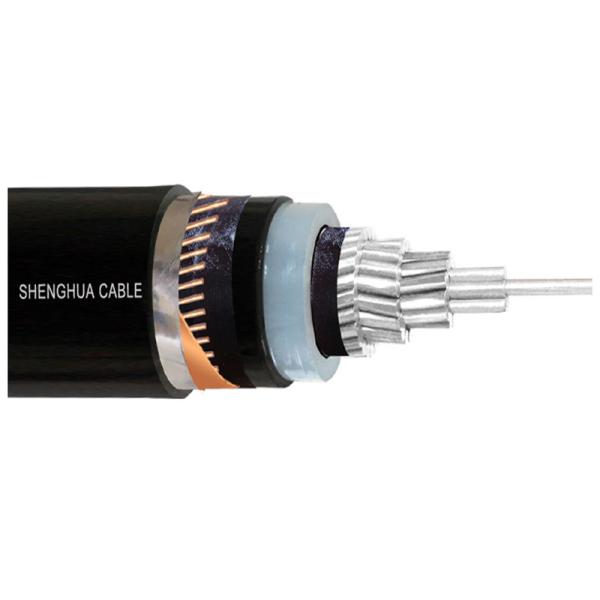                    Low Voltage High Performance Pair and Triple Cores XLPE Insulated Power Cable for Extreme Conditions Armored Instrumentation Cable Ia Cable             