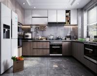 Blum Hinges fournisseur de cuisine chinoise