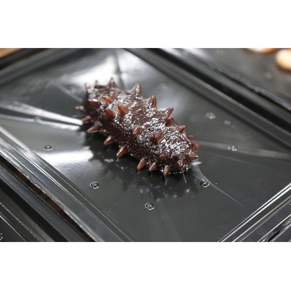 Атмосфера машины упаковки кожи вакуума подноса доработанная свободно стоя стиль