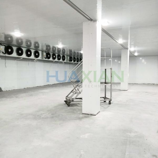 Industrial Refrigeration Equipment Type Walk in Freezer Cold Storage Room for Vegetable/Potato/Onion