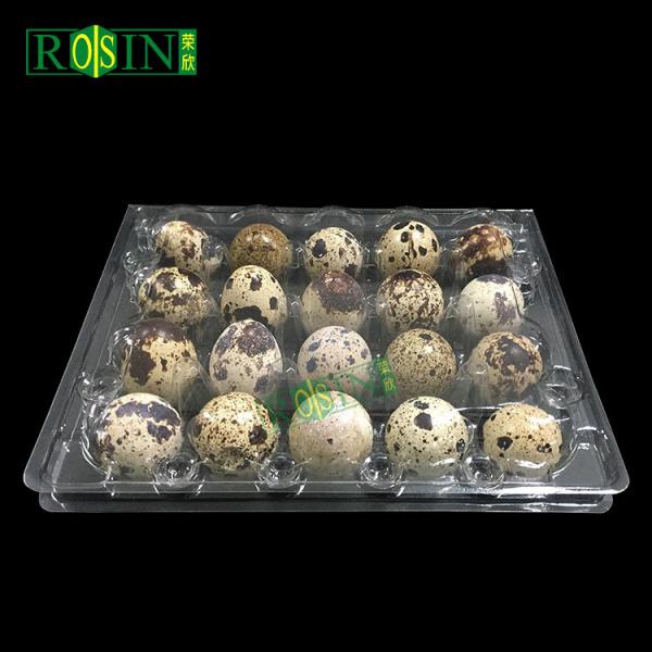 Customized 20 Holes Plastic Egg Packaging Disposable Quail Egg Containers