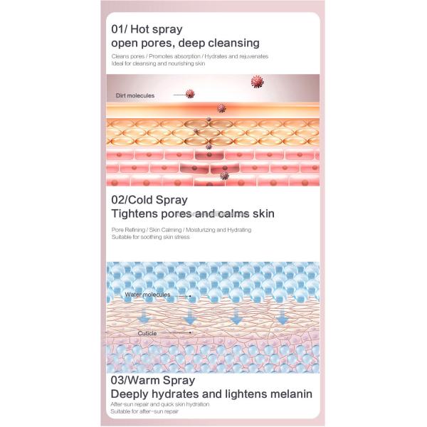 Facial Steamer Moisturizer for Multifunctional SPA Equipment Standard GB4706.15-2008