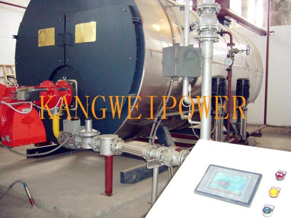 Industry Biomass Coal Fired Steam Boilers Double Drum Chain Grate Combustion