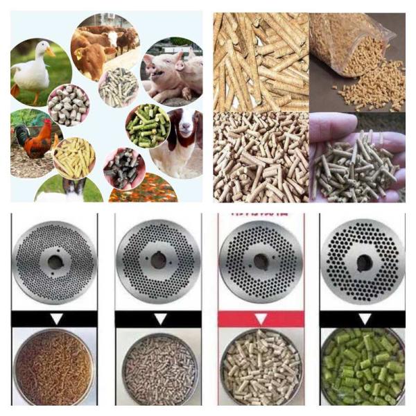электрическая мельница лепешки питания кролика мельницы 300-400kg/H лепешки питания 30kw для питания птицы