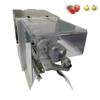 Machine de coupe automatique électrique Apple Corer Peeler 8-10 pièces/min 180W