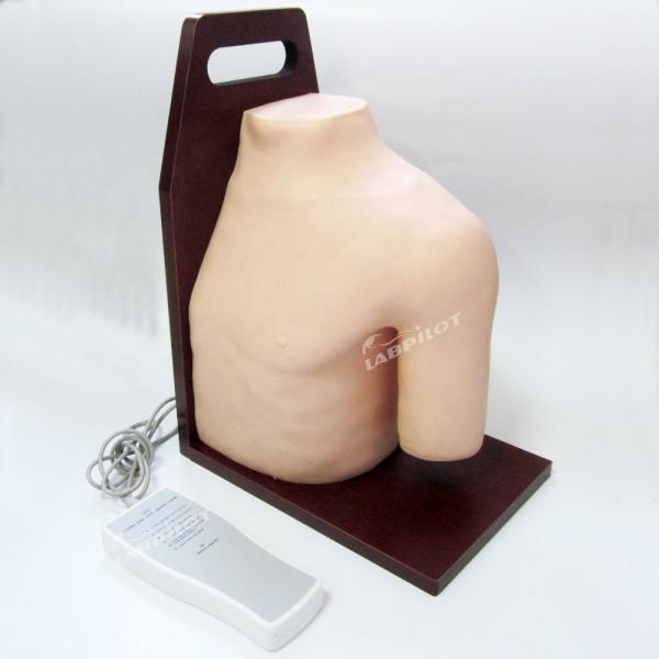 Advanced PVC Medical Training Shoulder Joint Intracavitary Injection Simulator Teaching Model