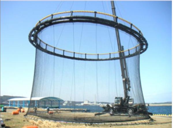 Deepsea 0.97g/Cm3 HDPE Floating Net Cage For Sea Aquaculature