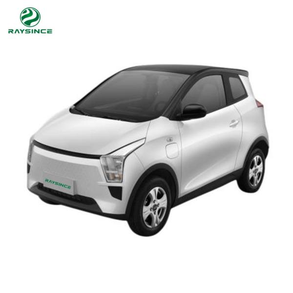 Raysince China Supplier Adult electric car Wholesale cheap price 25KW motor electric sedan car for hot sale