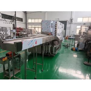 Integrated Aseptic Ampoule Processing Line (1-20ml) Dedicated Turnkey Automation