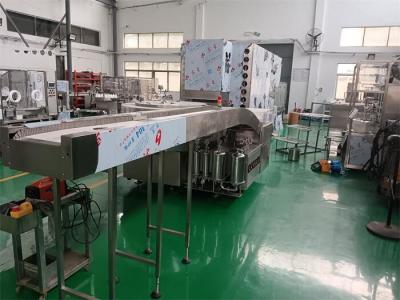 Ampoule Filling Line with Heat Sterilization and Ultrasonic Cleaning for Penicillin Injection Production GMP Compliant, Laminar Airflow Protected