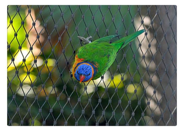 Stainless Steel Ferrule Wire Rope Mesh Netting For Animal Enclosure