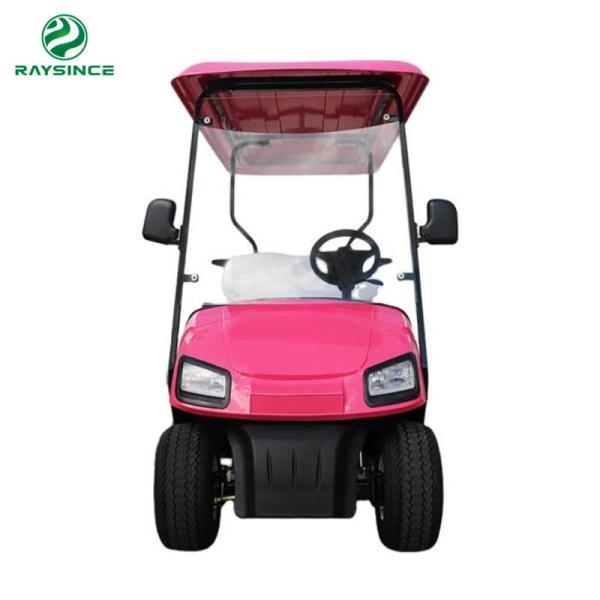 2022 hot sale cheap price electric golf carts 4 wheels 2 seats mini golf buggy made in China