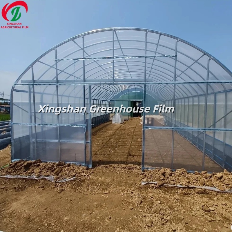 High-Performance Polyolefin Greenhouse Film for Modern Agriculture