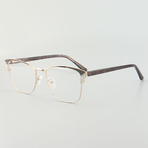 Female Stainless Steel Anti Blue Light Metal Optical Frame