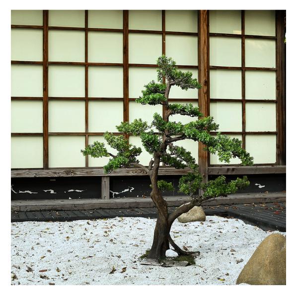 Anti - Fading Plastic Artificial Landscape Trees For Airport Interior Decoration