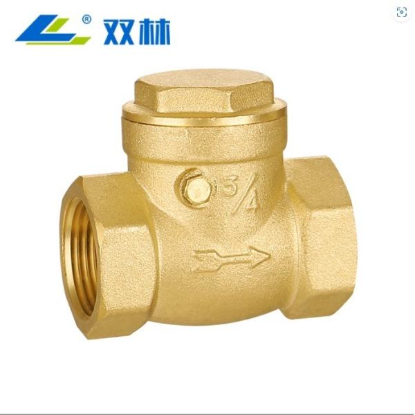 Horizontal Brass Swing Type Check Valve for Medium Temperature Applications