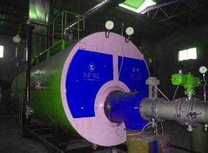 Biomass Gasification Fired Genset Power Plant 200KW - 1000KW Combined Heat Power Technology