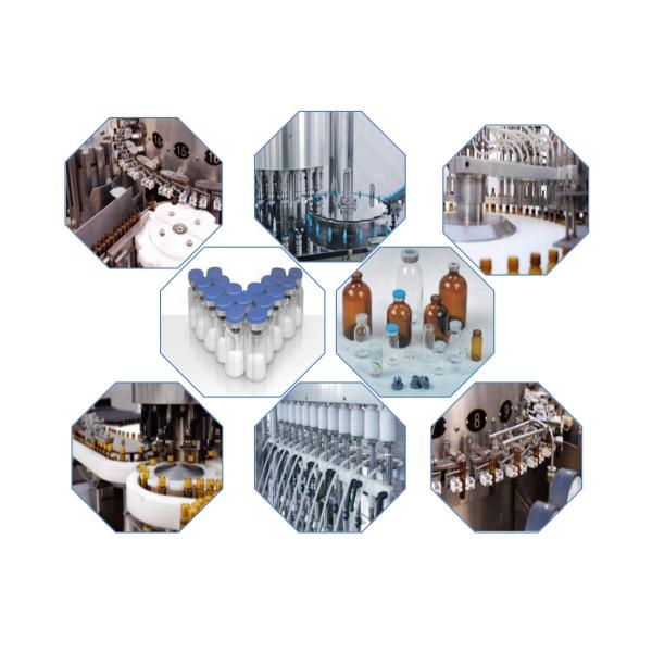 XGZ/8 Automatic Rotary Capping Machine For Plastic Bottles And Glass Bottles with 8 Heads