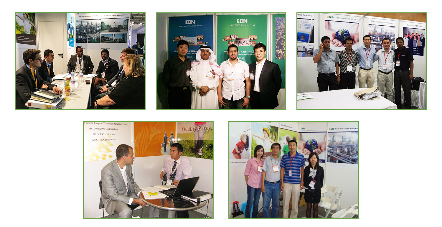 High Purity Alkaline Protease Detergent Enzyme Powder with 12 Months Shelf Life in 25kg Paper Box