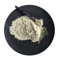 Industrial Grade White Powder Ferrous Sulfate Monohydrate Feed FeSO4·H2O