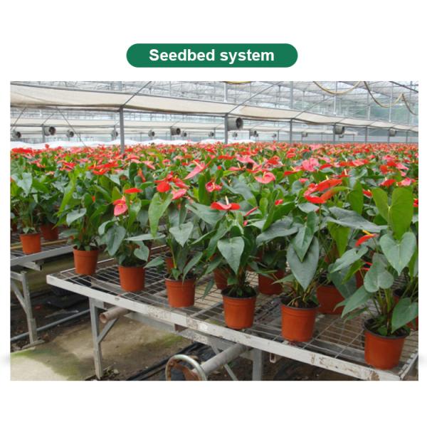 Сельскохозяйственные светочувствительные теплицы - идеальное решение для выращивания грибов