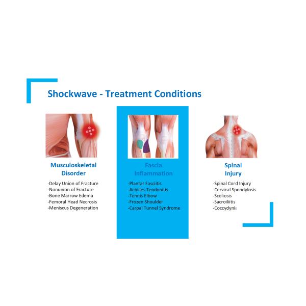 Gomecy Thérapie par ondes de choc Eélectrothérapie Ultrasons 3 en 1 Machine pour le traitement de la douleur chronique et la réparation des tissus avec l'échographie et l'électrothérapie