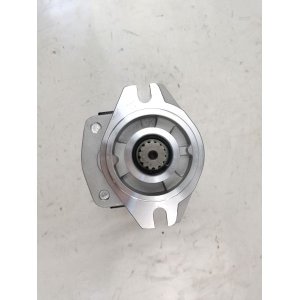 Hydraulic Vane Pump CBHZA-F30-AFΦL with 1-Year Warranty and Custom OEM Parts for Construction Machinery for for Komatsu Kawasaki