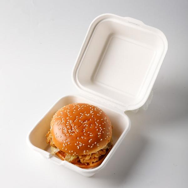 Pulp Molding Non Plastic Clamshell Lunch Box Machine Semi Automatic