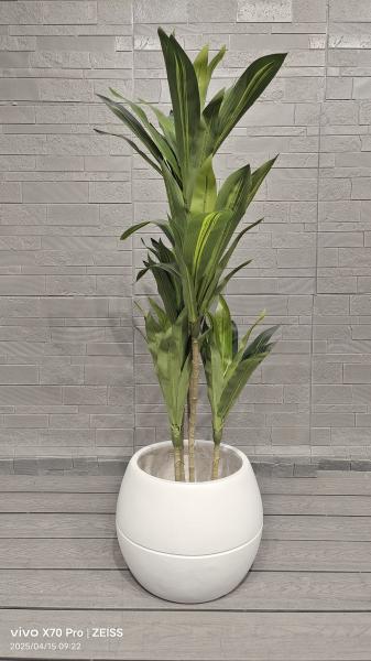 White Ball Design Sporty Fun - Themed Appearance Tapered Spherical Fiber Clay Flower Pot