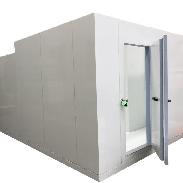 PU Sandwich Panel Refrigeration Cold Room Shocking Freezer vegetable cold storage Room