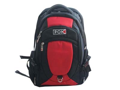 Man Nylon fashion Laptop Backpacks /sports bags with outdoor designer