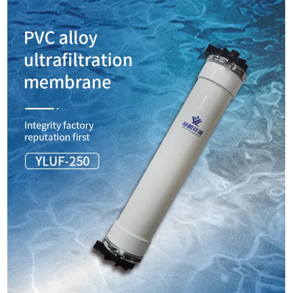RK Water Purifier Equipment 0.01 Micron Hollow Fiber UF Membrane PVC Drink Water Filtration UF250