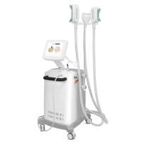 Cellulites Cryolipolysis d'Astiland amincissant la machine