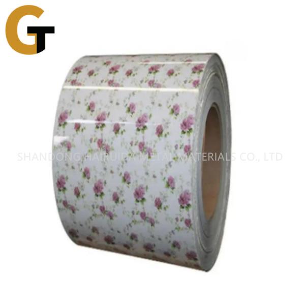 Prepainted Steel Coil Suppliers Galvanised Steel Strip Roll