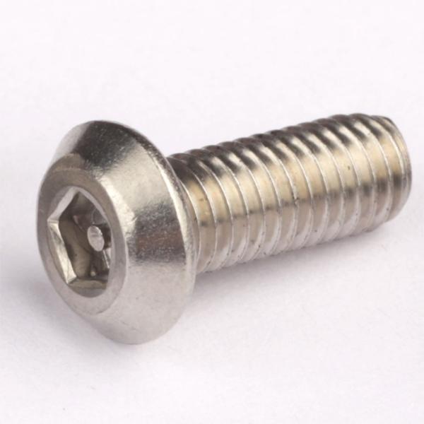 Security Torx Pin Center Head Tamper Proof Stainless Steel Anti Theft Screw