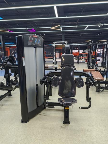 Commercial and Home Gym Fitness Equipment Steel Pin-Loaded Bicep Machine for Chest Back Shoulder Leg Training