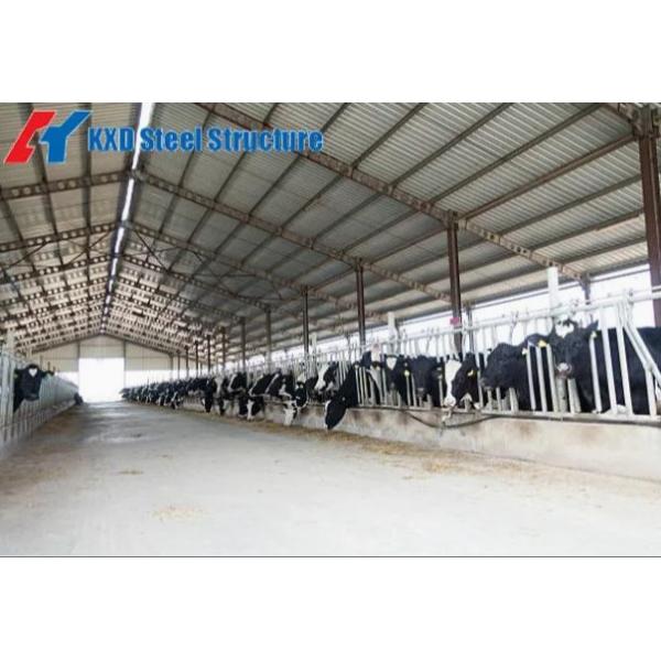 Prefabricated Large Span Steel Structure Construction Building Workshop (KXD-88)