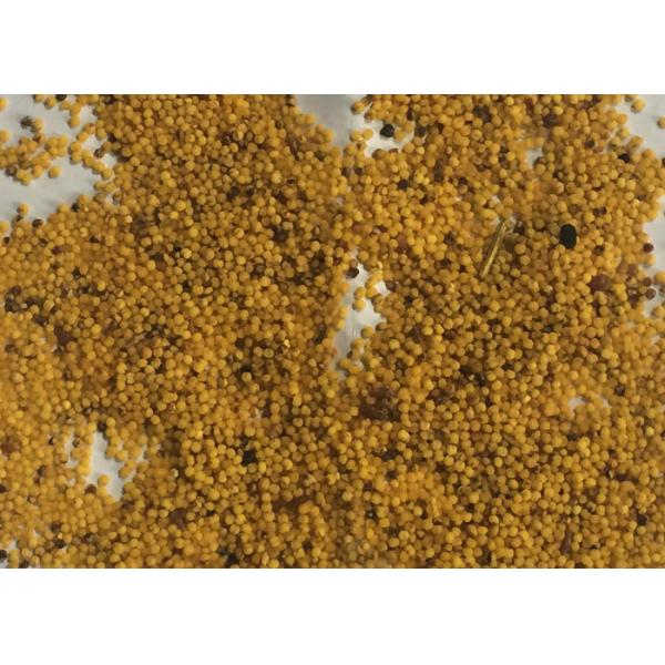 10 Channels Smart Yellow RGB Camera Grain Color Sorter Machine