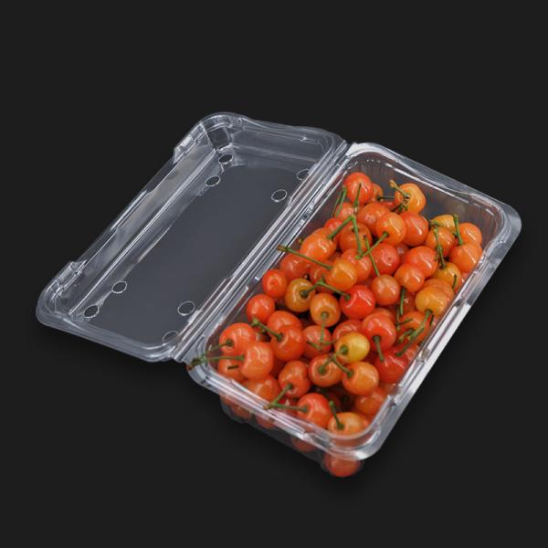 No Leakage Disposable Plastic Boxes
