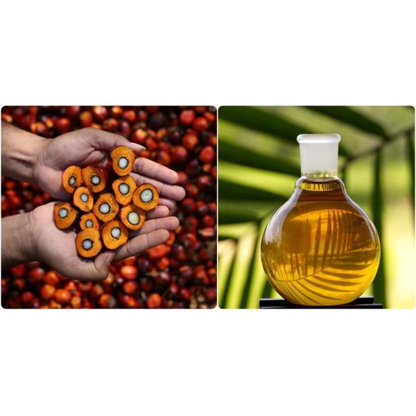 Машина центрифуги еды сопла диска автоматическая для рафинадного завода пальмового масла