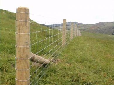 Anping factory good quality Cattle Fence Electrical Fencing For Cows